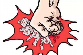 枣阳为什么选择专业追讨公司来处理您的债务纠纷？